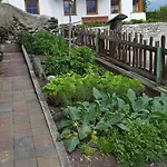 Joergenhof Appartamento *